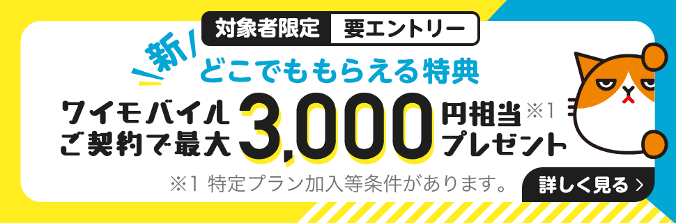 Auからワイモバイルに乗り換えるときの手順やポイントまとめ