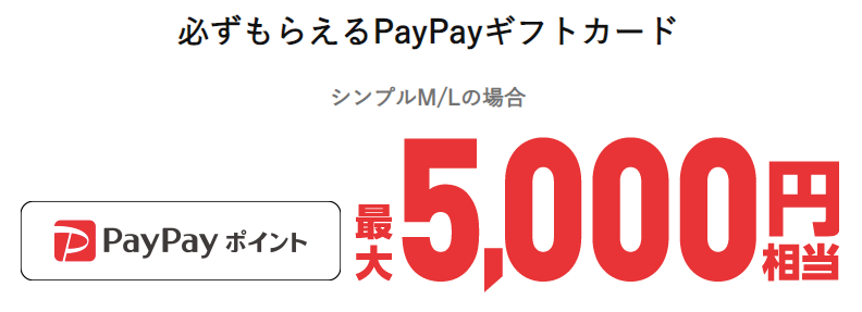 PayPayポイント！5,000円相当プレゼントキャンペーン